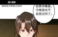 宝岛的浪漫满屋